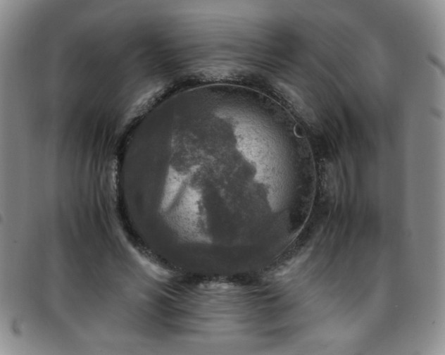 X0000097760590200803141725