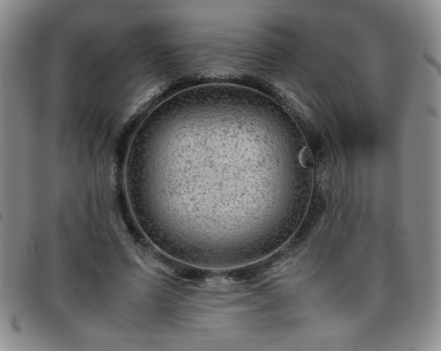 X0000097760591200803141725