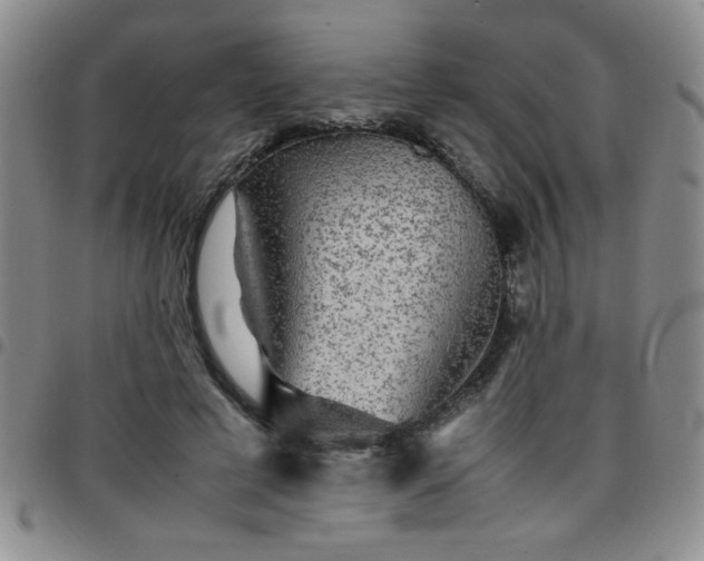 X0000097760593200803141725