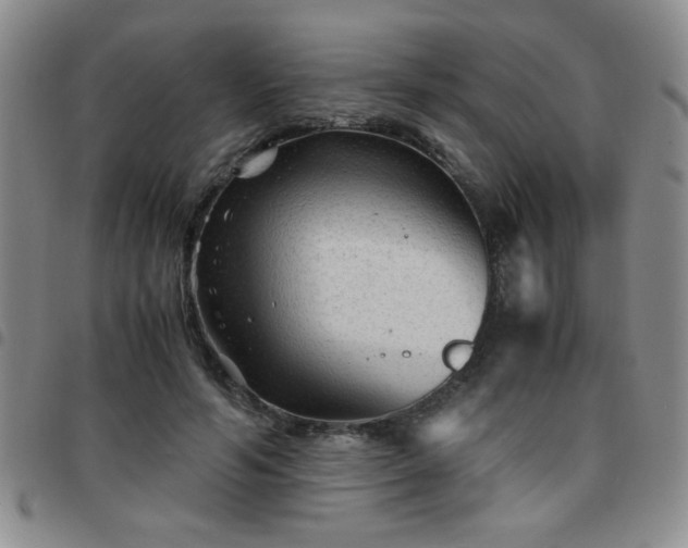 X0000097760594200803141725