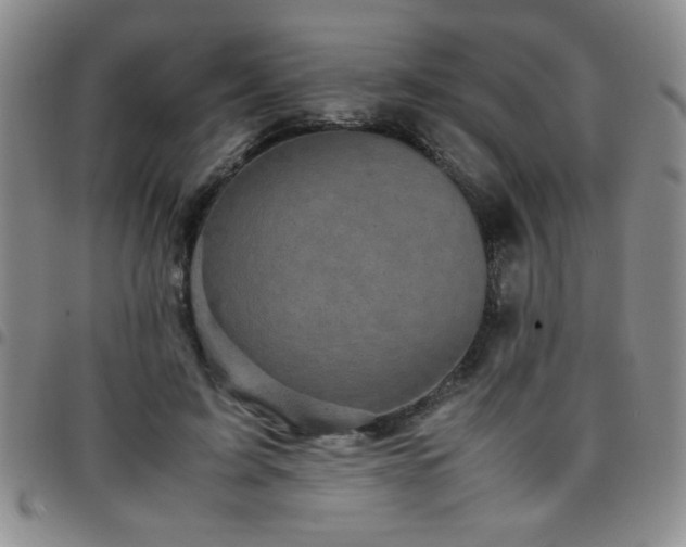 X0000097760595200803141725