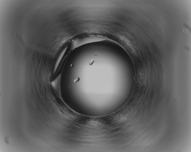 X0000097760596200803141725