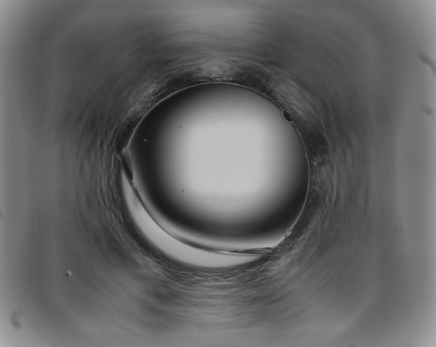 X0000097760597200803141725