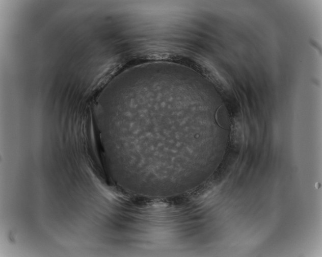 X0000097760598200803141725