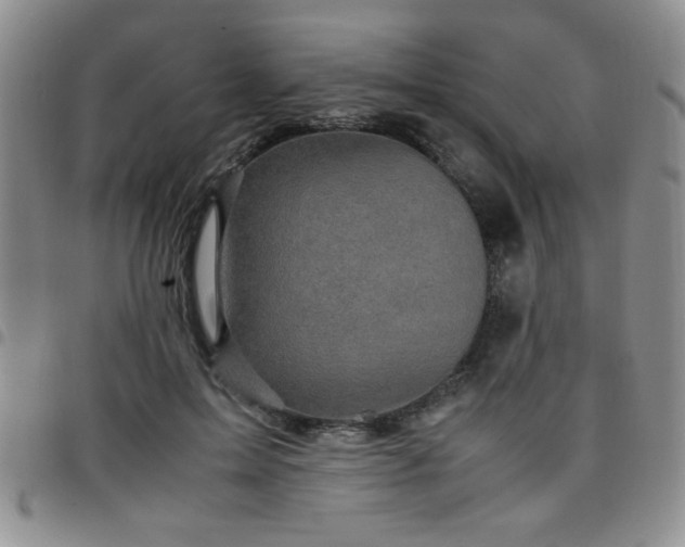 X0000097760599200803141725