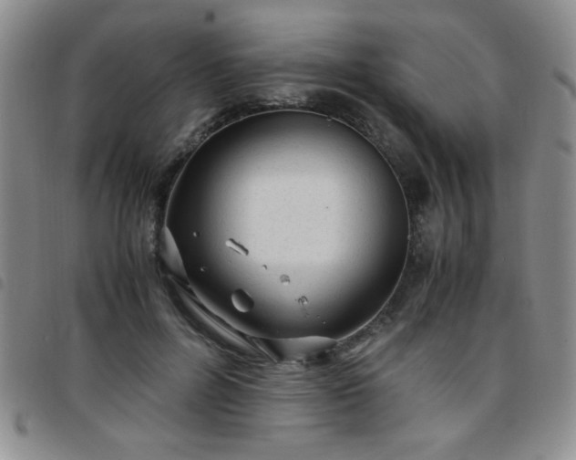 X0000097760600200803141725