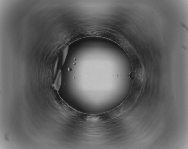 X0000097760602200803141725