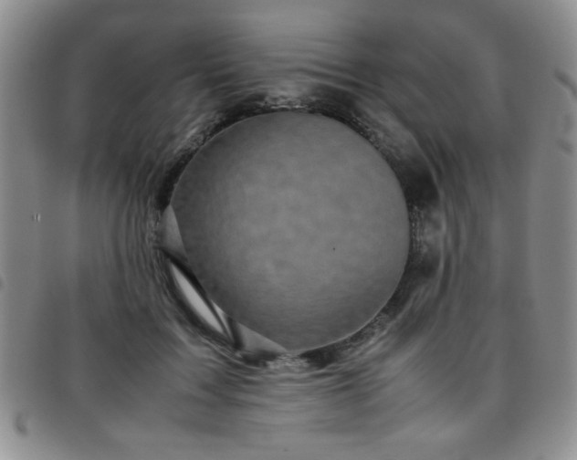 X0000097760603200803141725