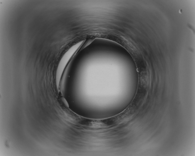 X0000097760605200803141725