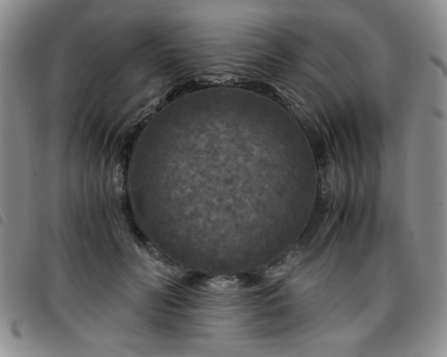 X0000097760606200803141725