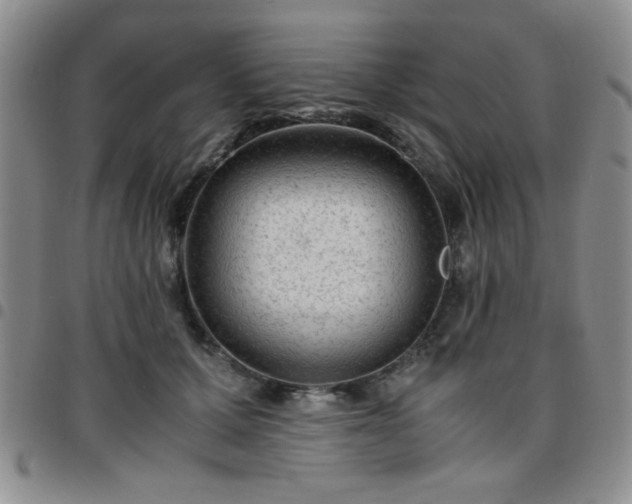 X0000097760607200803141725