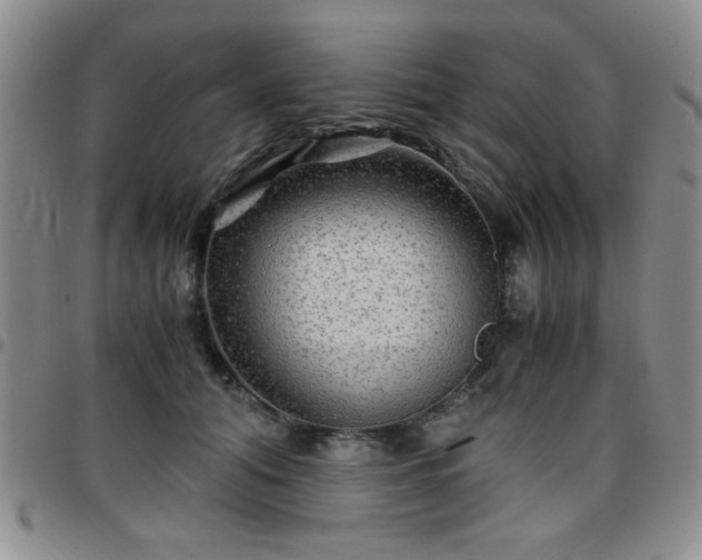 X0000097760608200803141725