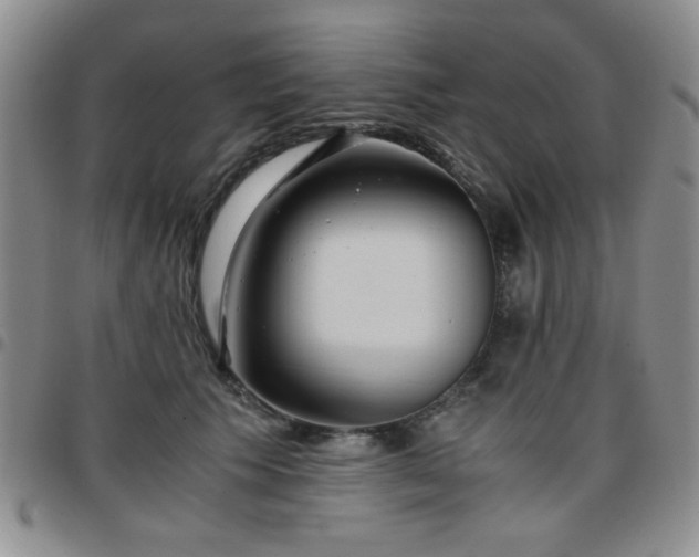 X0000097760609200803141725