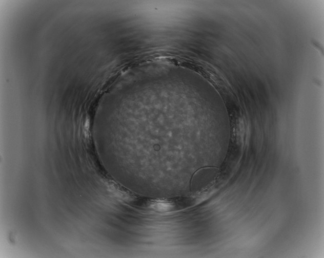 X0000097760610200803141724