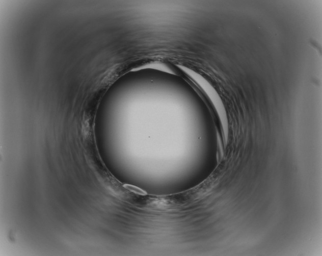 X0000097760611200803141724