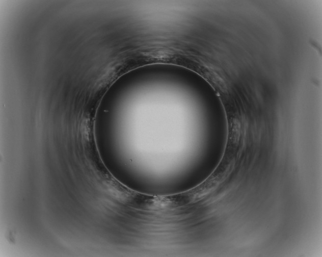 X0000097760612200803141724