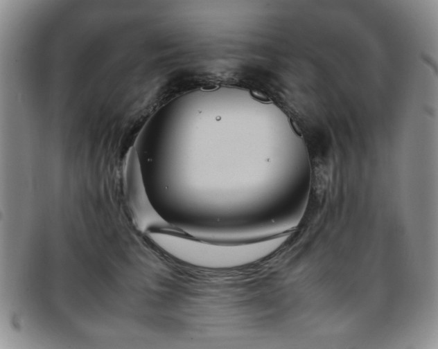 X0000097760613200803141724