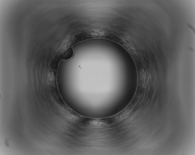 X0000097760614200803141724