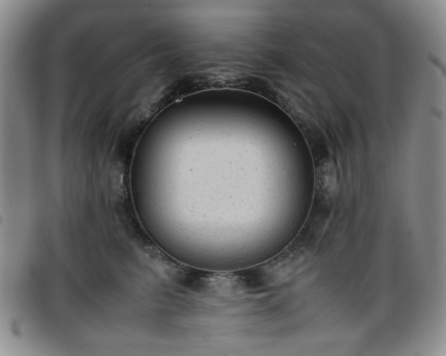 X0000097760615200803141724