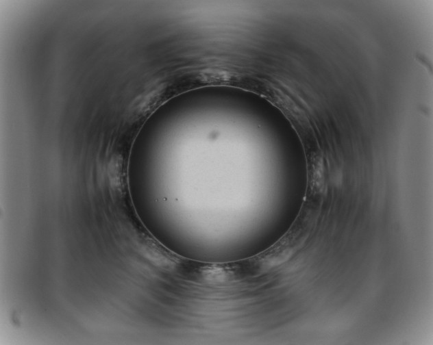 X0000097760616200803141724