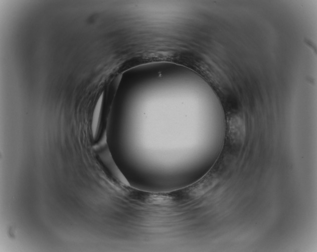 X0000097760617200803141724