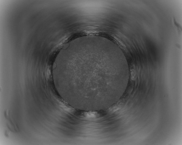 X0000097760618200803141724