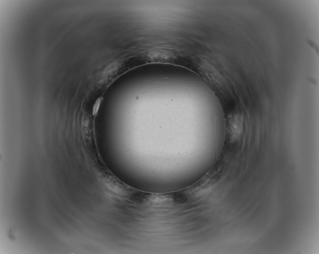 X0000097760619200803141724