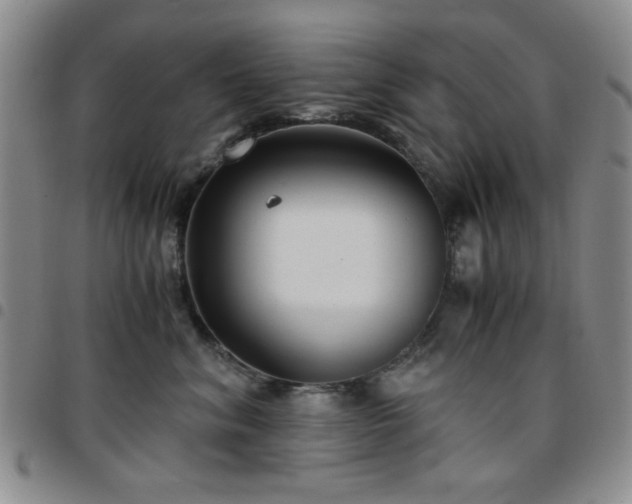 X0000097760620200803141724