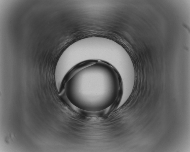 X0000097760621200803141724