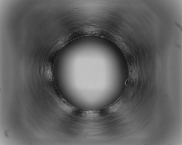 X0000097760622200803141724