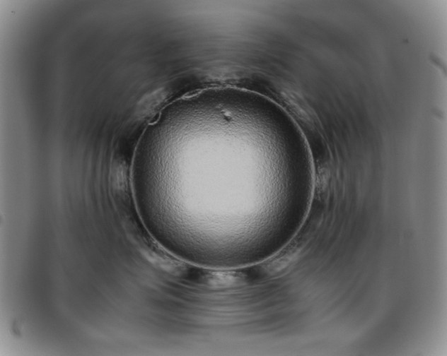 X0000097760623200803141724