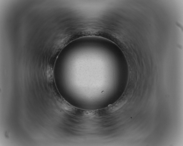 X0000097760624200803141724