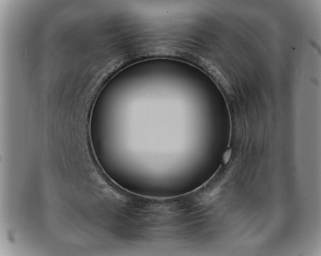 X0000097760625200803141724