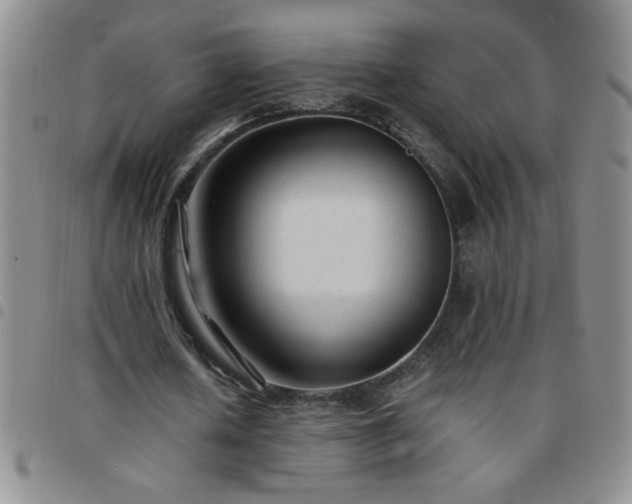 X0000097760626200803141724