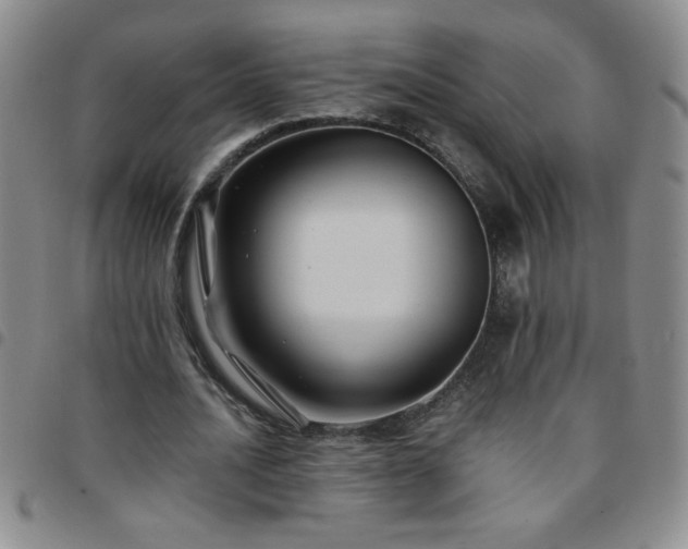 X0000097760628200803141724