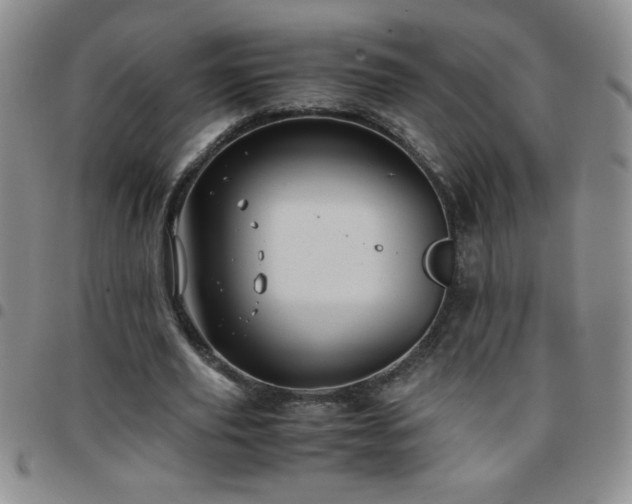 X0000097760629200803141724