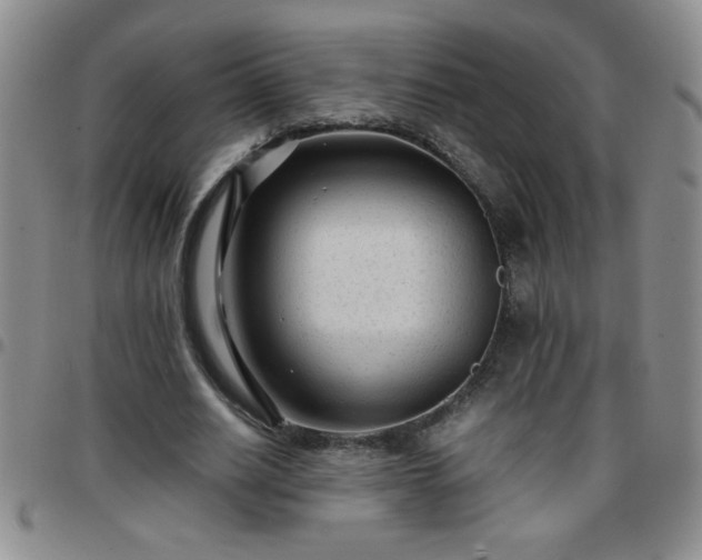 X0000097760630200803141724