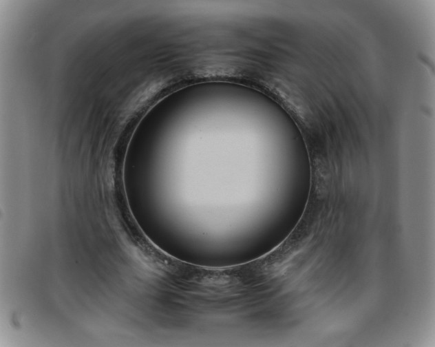 X0000097760631200803141724