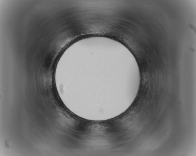 X0000097760632200803141724