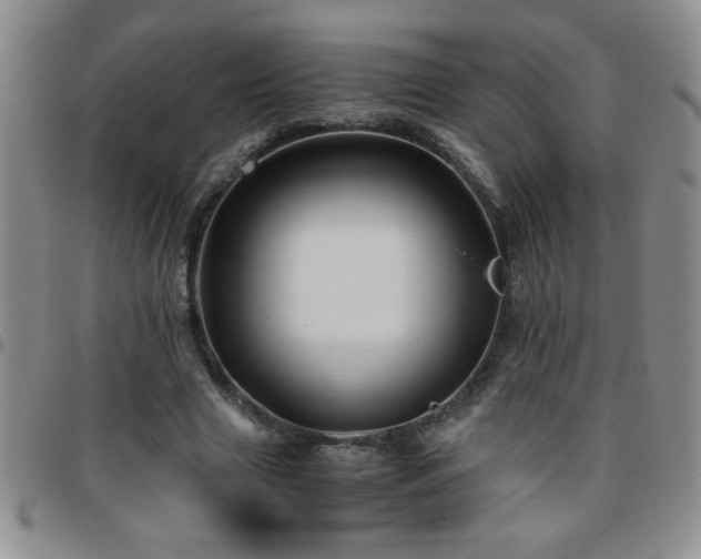 X0000097760633200803141724