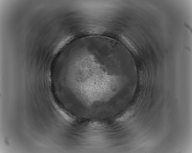 X0000097760634200803141724