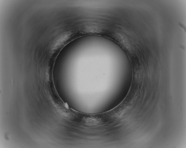 X0000097760635200803141724