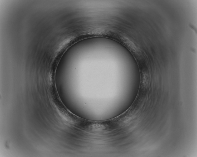 X0000097760636200803141724