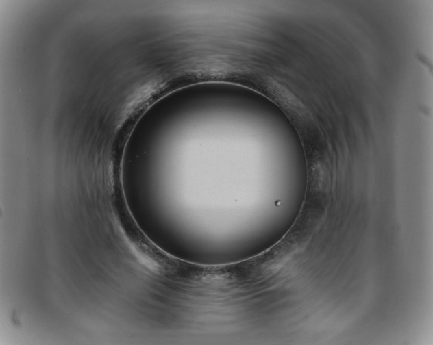 X0000097760638200803141724