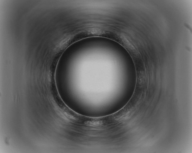 X0000097760639200803141724