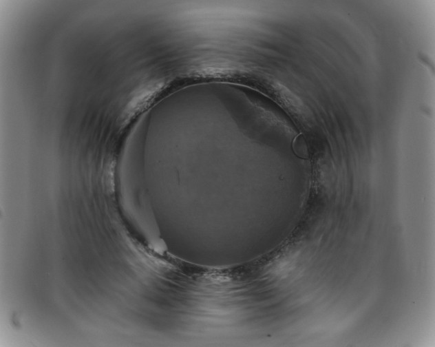 X0000097760640200803141724