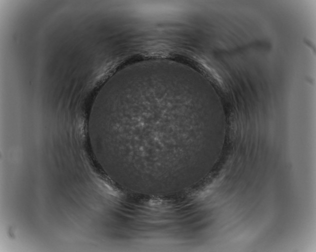 X0000097760641200803141724