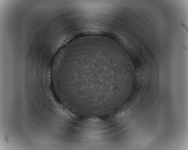 X0000097760642200803141724