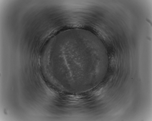 X0000097760643200803141724