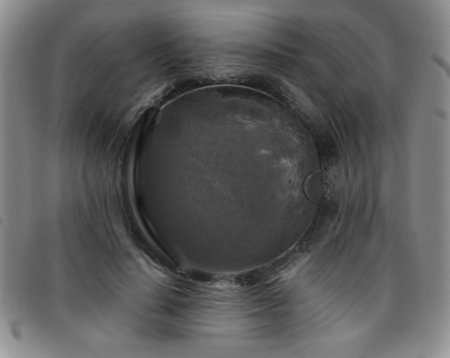 X0000097760644200803141724